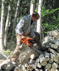 Image of Bill Mitchell with a chainsaw